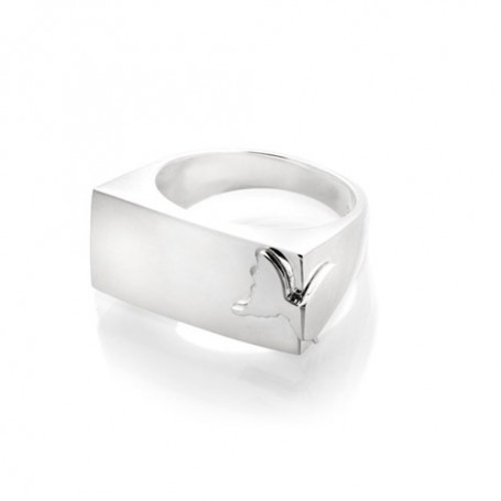 Square butterfly ring S152 1,00 kr Hem